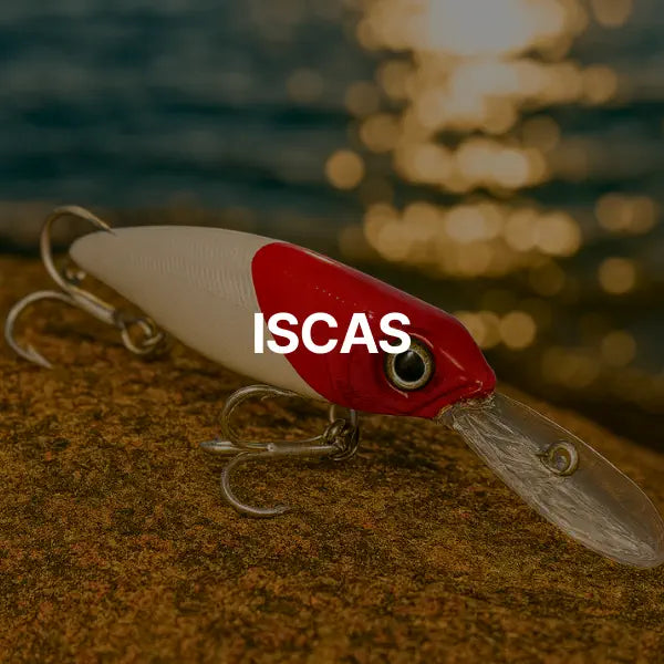 Isca artificial de pesca com garateia em cima de uma pedra na costeira, com o mar ao fundo.