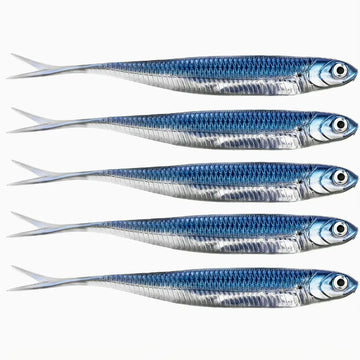 Close na Isca Artificial Soft Shad 5 Peças Blue sardine premium 